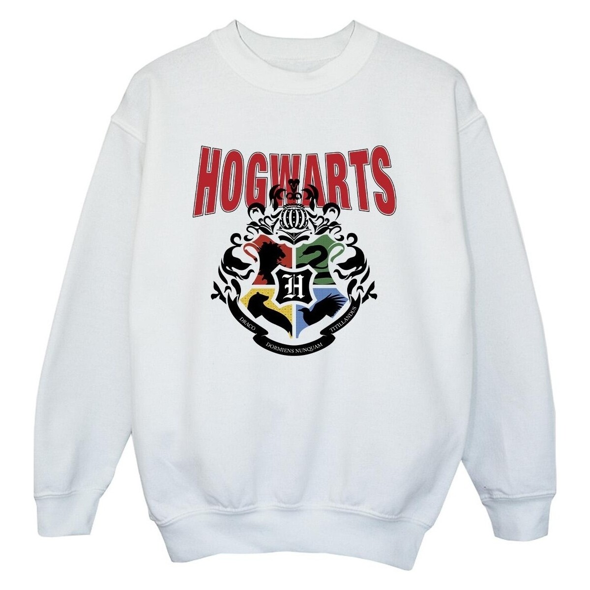 Vêtements Garçon Sweats Harry Potter  Blanc