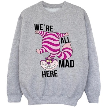 Vêtements Fille Sweats Disney Alice In Wonderland All Mad Here Gris