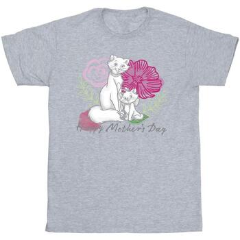 Vêtements Garçon T-shirts manches courtes Disney The Aristocats Mother's Day Gris