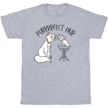 Vêtements Garçon T-shirts manches courtes Disney The Aristocats Purrfect Pair Gris