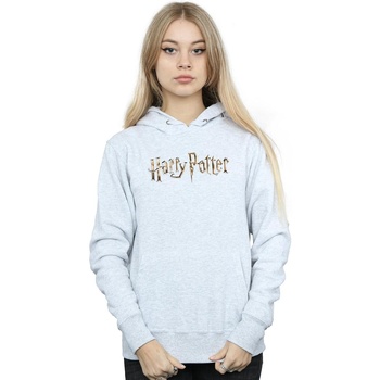 Vêtements Femme Sweats Harry Potter Slytherin Sport Emblem Gris