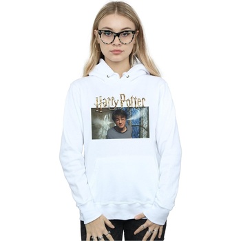 Vêtements Femme Sweats Harry Potter  Blanc