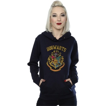 Vêtements Femme Sweats Harry Potter Hogwarts Varsity Bleu