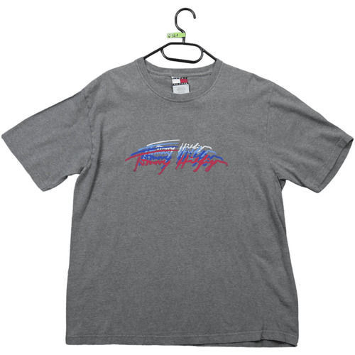 Vêtements Homme T-shirts manches courtes Tommy Hilfiger T-shirt Gris