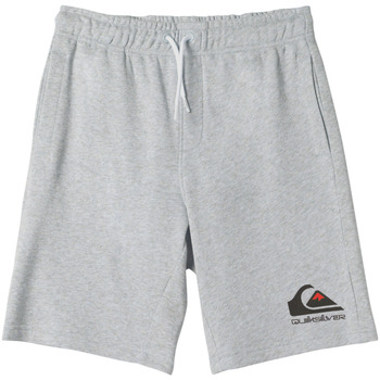 Vêtements Garçon canal Shorts / Bermudas Quiksilver Easy Day Gris