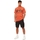 Vêtements Homme T-shirts manches courtes Superdry Vintage Logo Store Orange