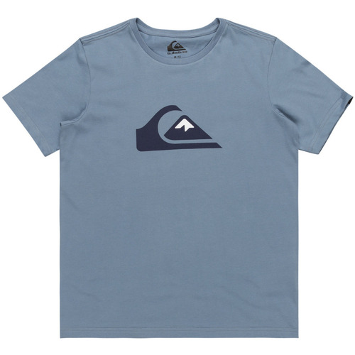 Vêtements Garçon Débardeurs / T-shirts sans manche Quiksilver Comp Logo Bleu