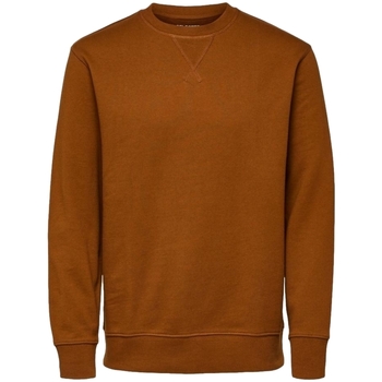 Vêtements Homme Sweats Selected Noos Sweatshirt Jason 340 - Monks Robe Marron