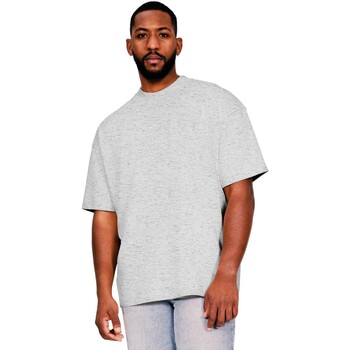Vêtements Homme T-shirts manches longues Casual Classics AB600 Gris
