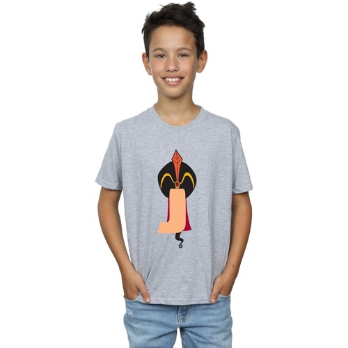Vêtements Garçon T-shirts manches courtes Disney Alphabet J Is For Jafar Gris