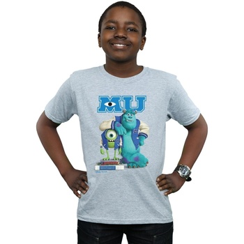 Vêtements Garçon T-shirts manches courtes Disney Monsters University Poster Gris