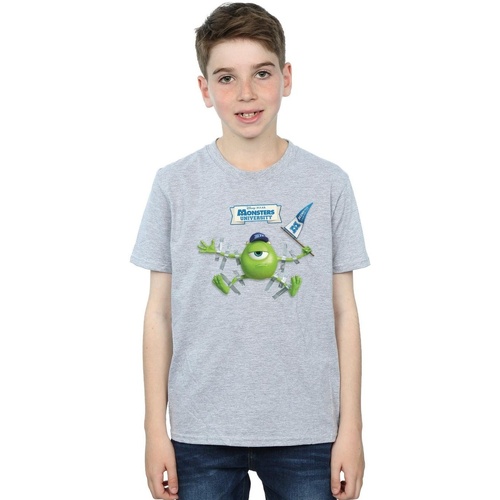Vêtements Garçon T-shirts manches courtes Disney Monsters University Taped Mike Gris