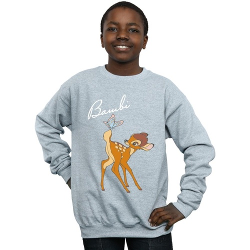 Vêtements Garçon Sweats Disney Bambi Butterfly Tail Gris