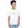 Vêtements Garçon T-shirts manches courtes Disney Glacial Logo Blanc