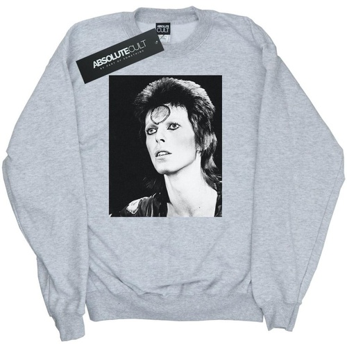 Vêtements Fille Sweats David Bowie Ziggy Looking Gris