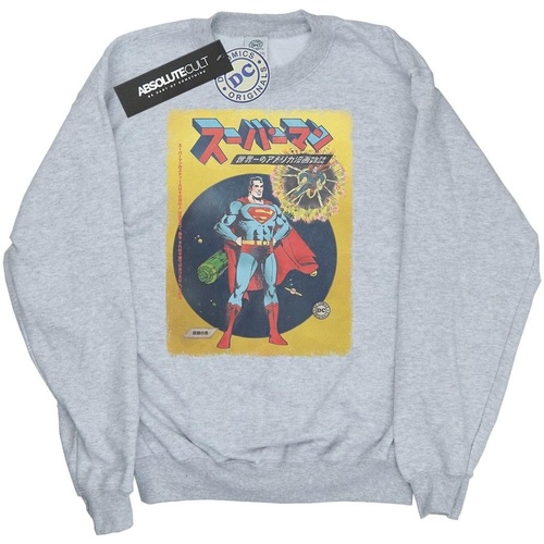 Vêtements Garçon Sweats Dc Comics Superman International Cover Gris