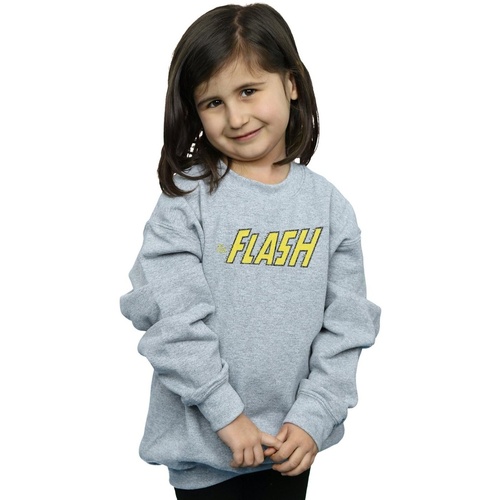 Vêtements Fille Sweats Dc Comics Flash Crackle Logo Gris