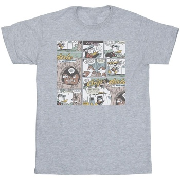 Vêtements Garçon T-shirts manches courtes Disney Chip 'n Dale Comic Gris