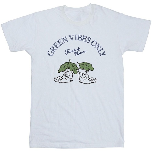 Vêtements Garçon T-shirts manches courtes Disney Chip 'n Dale Green Vibes Only Blanc