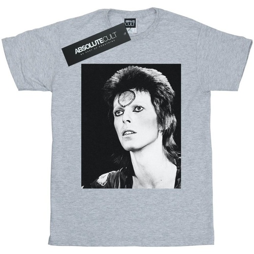 Vêtements Garçon T-shirts manches courtes David Bowie Ziggy Looking Gris