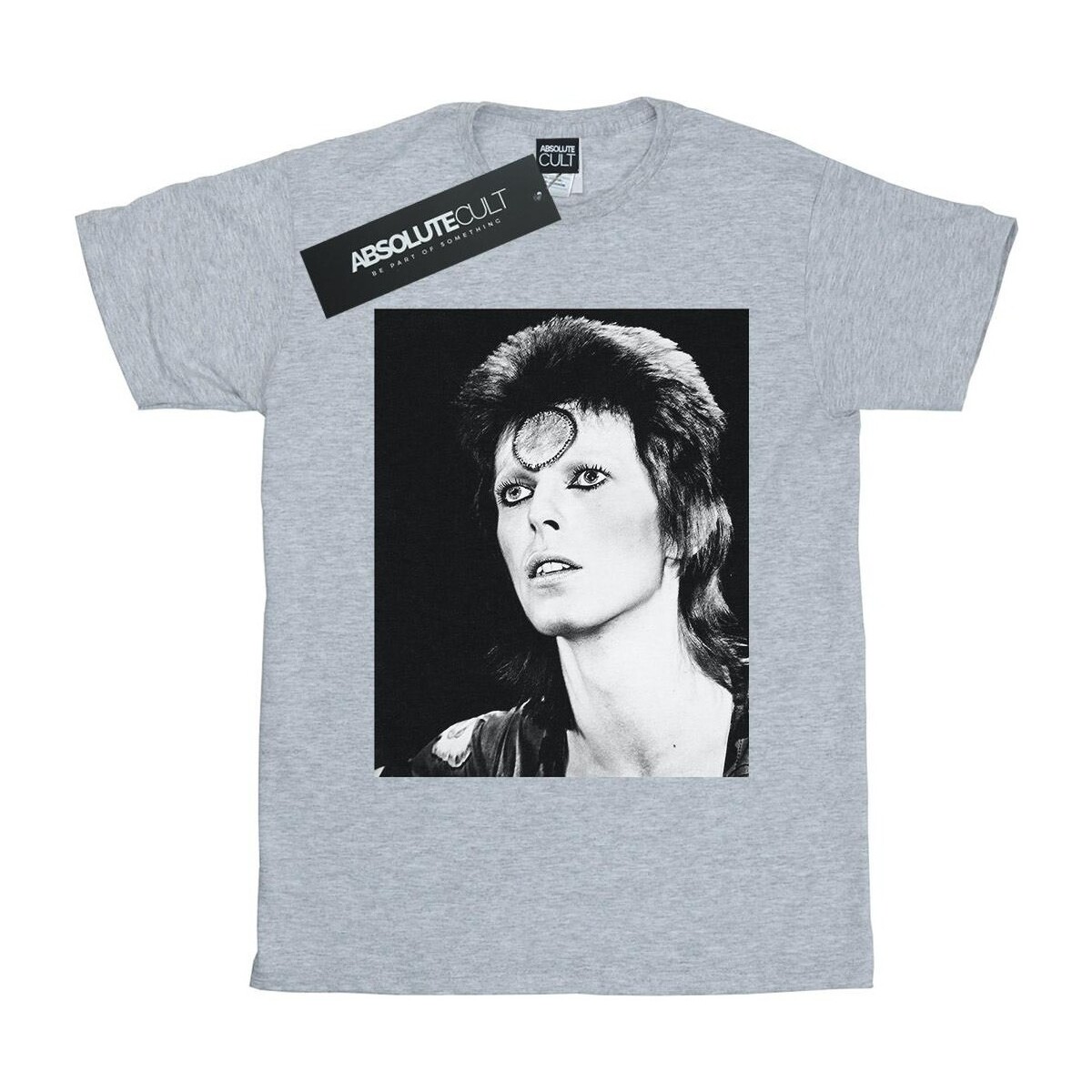Vêtements Garçon T-shirts manches courtes David Bowie Ziggy Looking Gris