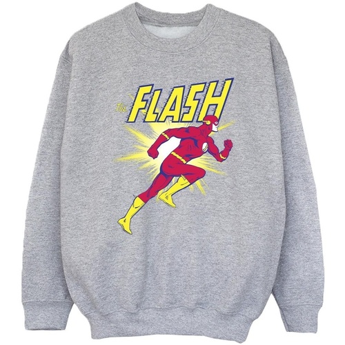 Vêtements Fille Sweats Dc Comics The Flash Running Gris