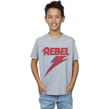 Vêtements Garçon T-shirts manches courtes David Bowie Distressed Rebel Gris