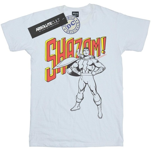 Vêtements Fille T-shirts manches longues Dc Comics Shazam Mono Action Pose Blanc