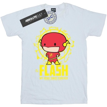 Vêtements Fille T-shirts manches longues Dc Comics Flash My Hero Since Forever Blanc