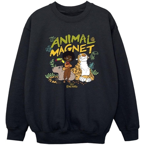 Vêtements Garçon Sweats Disney Encanto Animal Magnet Noir