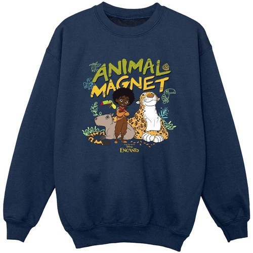 Vêtements Garçon Sweats Disney Encanto Animal Magnet Bleu