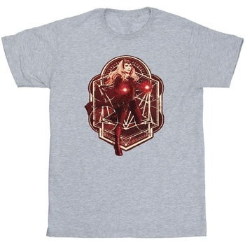 Vêtements Garçon T-shirts manches courtes Marvel Doctor Strange Wanda Vintage Gris