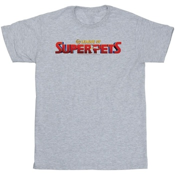 Vêtements Garçon T-shirts manches courtes Dc Comics DC League Of Super-Pets Movie Logo Gris