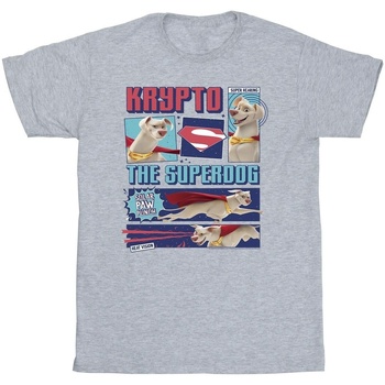 Vêtements Garçon T-shirts manches courtes Dc Comics DC Super Pets Krypto The Super Dog Gris