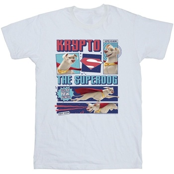 Vêtements Garçon T-shirts manches courtes Dc Comics DC Super Pets Krypto The Super Dog Blanc