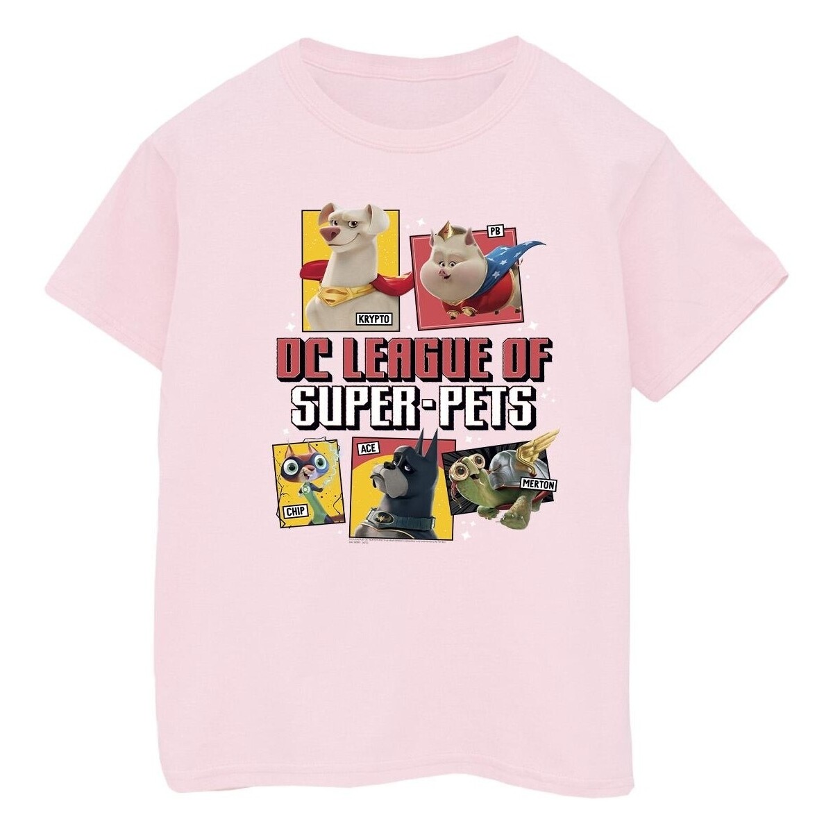 Vêtements Garçon T-shirts manches courtes Dc Comics DC League Of Super-Pets Profile Rouge
