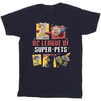 Vêtements Garçon T-shirts manches courtes Dc Comics DC League Of Super-Pets Profile Bleu