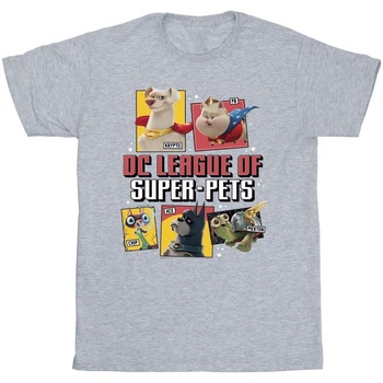 Vêtements Garçon T-shirts manches courtes Dc Comics DC League Of Super-Pets Profile Gris