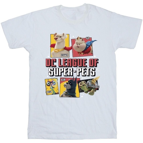 Vêtements Garçon T-shirts manches courtes Dc Comics DC League Of Super-Pets Profile Blanc