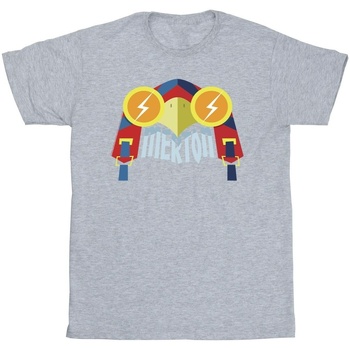 Vêtements Garçon T-shirts manches courtes Dc Comics DC League Of Super-Pets Merton Gris