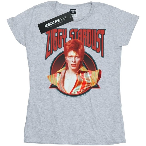 Vêtements Femme T-shirts manches longues David Bowie Ziggy Stardust Gris
