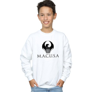 Vêtements Garçon Sweats Fantastic Beasts MACUSA Logo Blanc