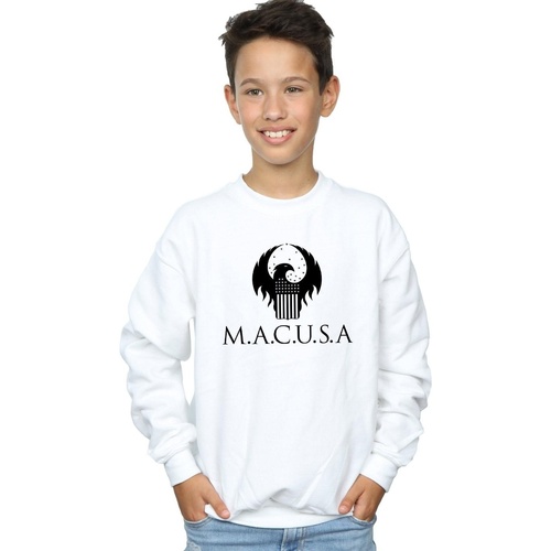 Vêtements Garçon Sweats Fantastic Beasts MACUSA Logo Blanc