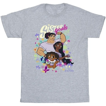 Vêtements Garçon T-shirts manches courtes Disney Encanto Sister Goals Gris