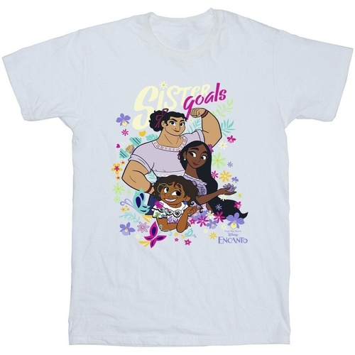 Vêtements Garçon T-shirts manches courtes Disney Encanto Sister Goals Blanc
