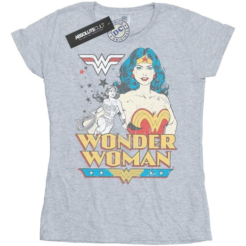Vêtements Femme T-shirts manches longues Dc Comics Wonder Woman Posing Gris