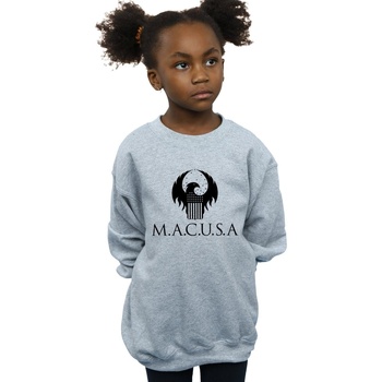 Vêtements Fille Sweats Fantastic Beasts MACUSA Logo Gris