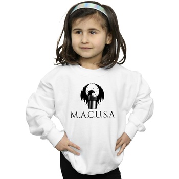 Vêtements Fille Sweats Fantastic Beasts MACUSA Logo Blanc