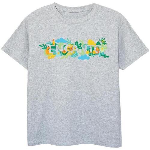 Vêtements Garçon T-shirts manches courtes Disney Encanto Wild Logo Gris