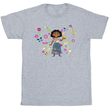 Vêtements Garçon T-shirts manches courtes Disney Encanto Mirabel Butterfly Gris